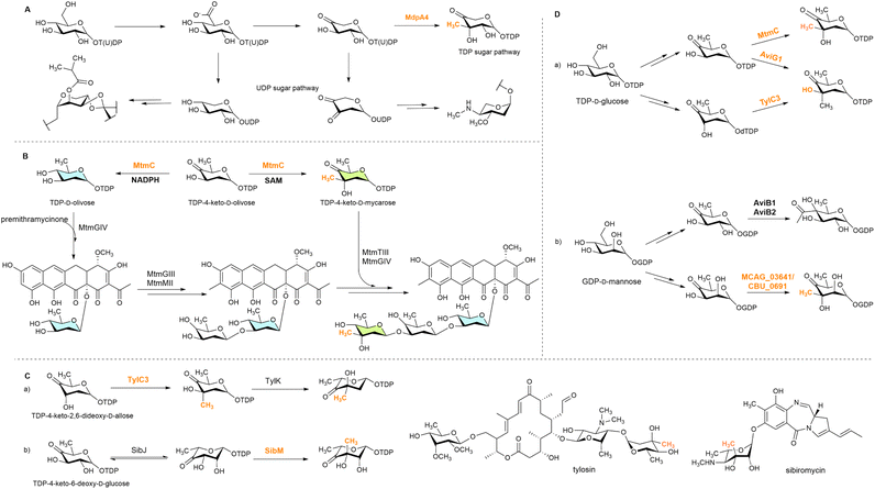 image file: d5np00071h-s2.tif