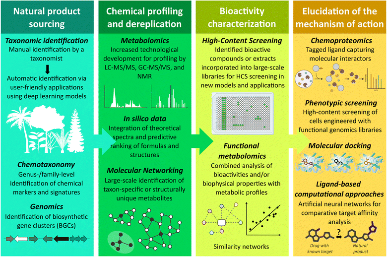 image file: d5np00073d-f2.tif