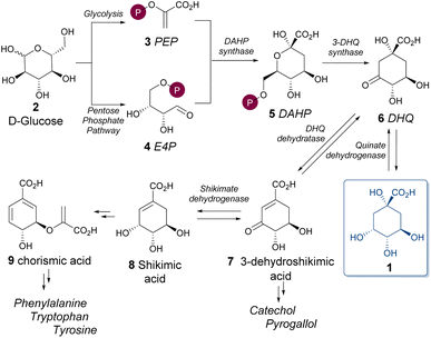 image file: d5np00087d-s1.tif