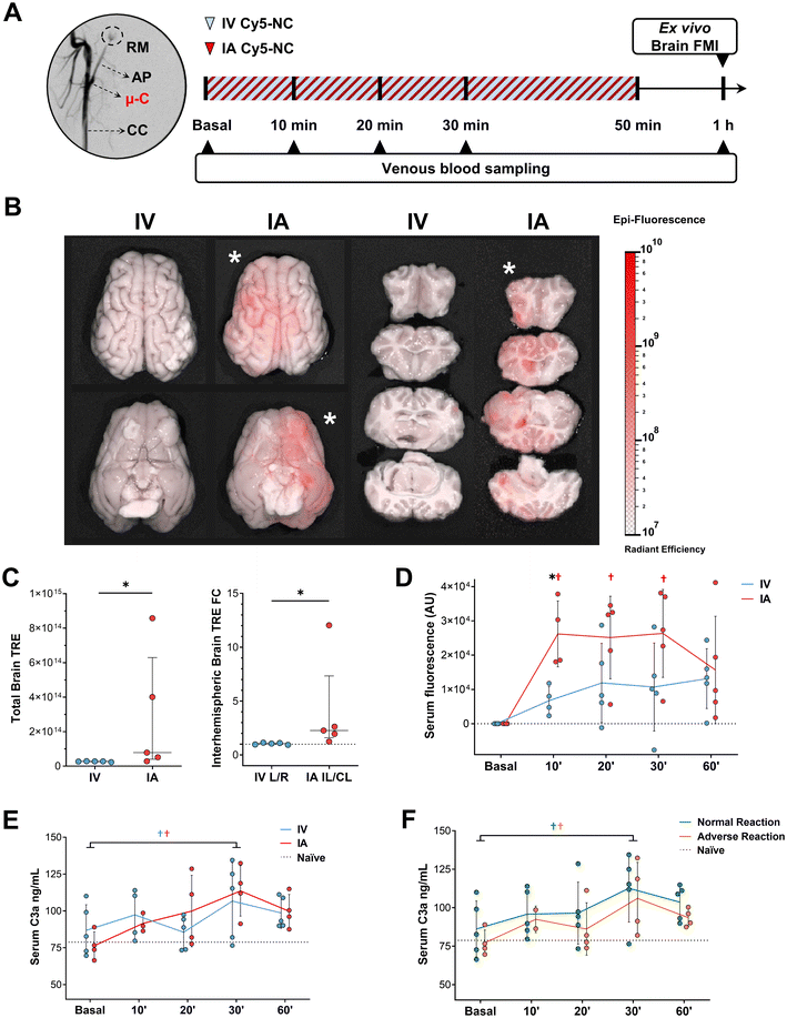 image file: d5nr03429a-f2.tif