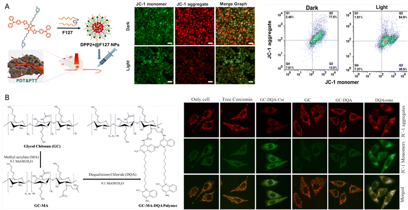 image file: d5nr03935e-f3.tif