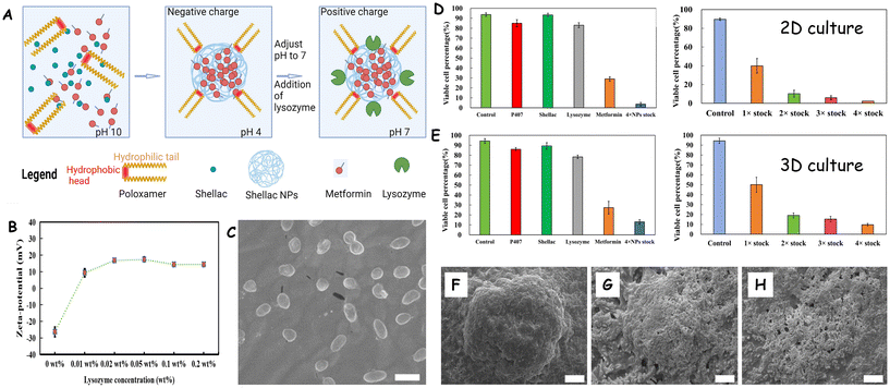 image file: d5nr03935e-f5.tif