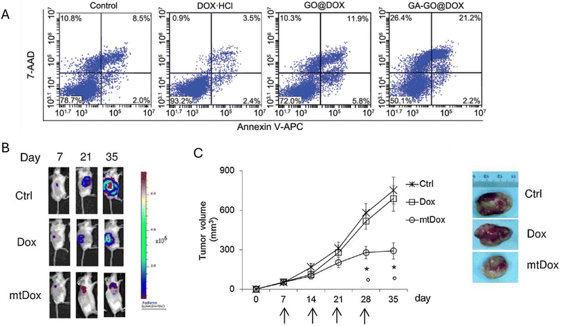 image file: d5nr03935e-f6.tif