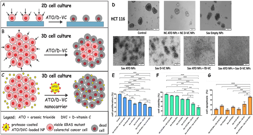 image file: d5nr03935e-f7.tif
