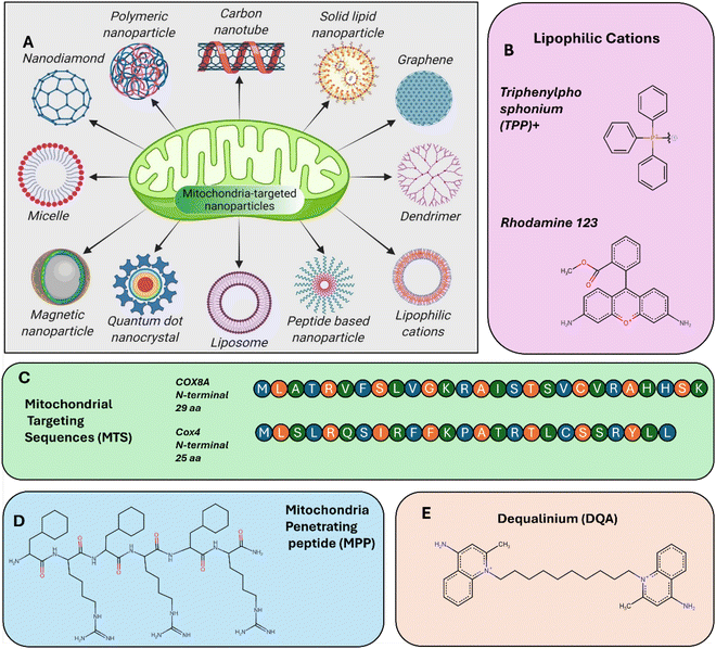 image file: d5nr03935e-s1.tif