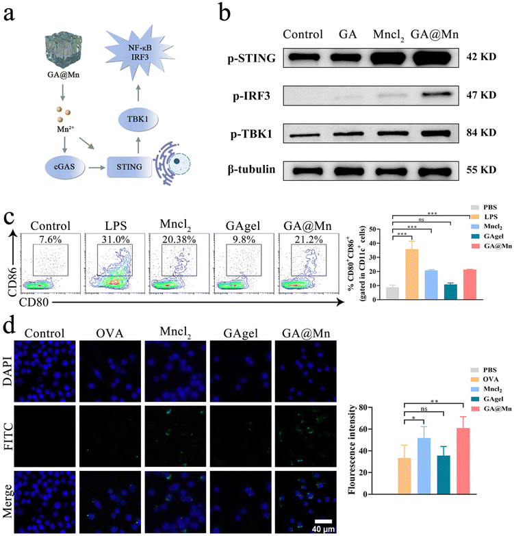 image file: d5nr04283f-f4.tif