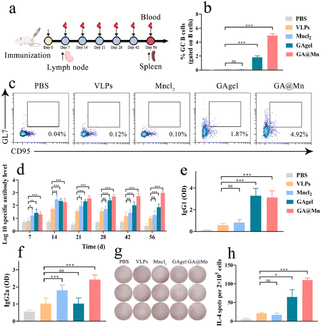 image file: d5nr04283f-f6.tif