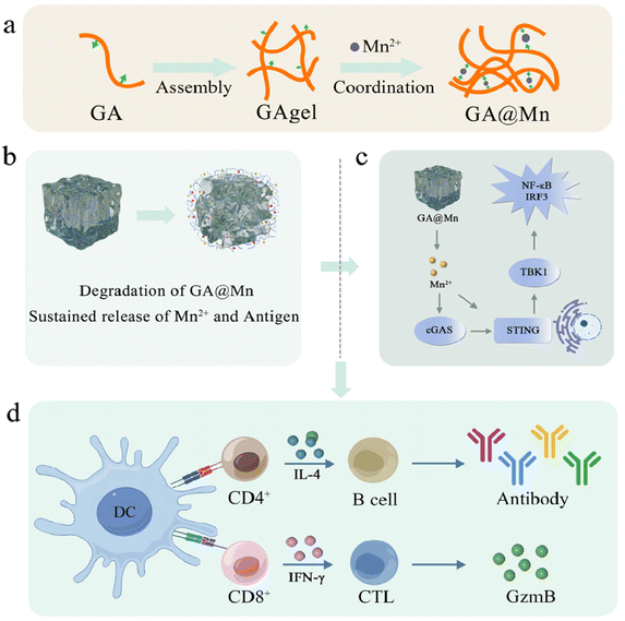 image file: d5nr04283f-s1.tif