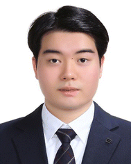 image file: d5nr04462f-p1.tif