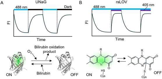 image file: d5nr04534g-f4.tif