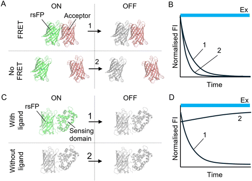 image file: d5nr04534g-f7.tif