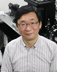 image file: d5nr04534g-p2.tif