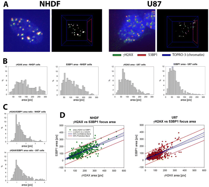 image file: d5nr05100b-f2.tif