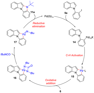 image file: d5ob01335f-s6.tif