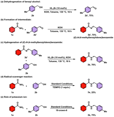 image file: d5ob01420d-s5.tif