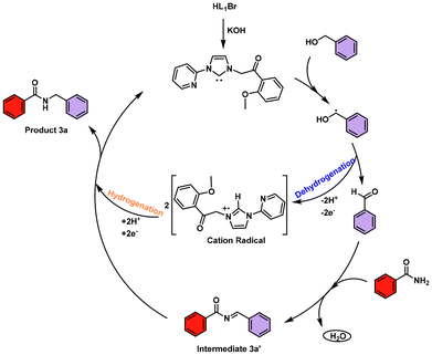 image file: d5ob01420d-s6.tif