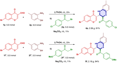 image file: d5ob01466b-s2.tif