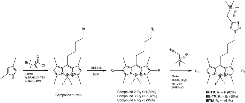 image file: d5ob01499a-s1.tif