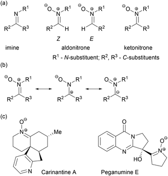 image file: d5ob01568e-s1.tif