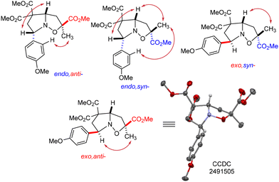 image file: d5ob01604e-f1.tif