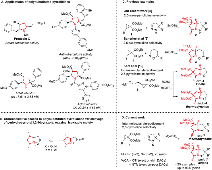 image file: d5ob01604e-s1.tif