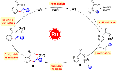 image file: d5ob01613d-s14.tif