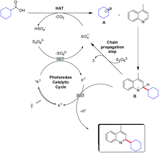 image file: d5ob01613d-s52.tif