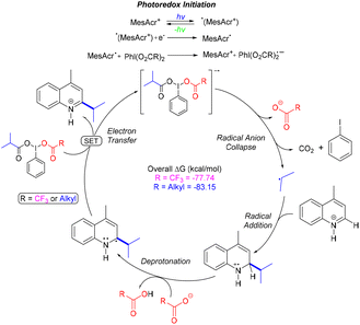 image file: d5ob01613d-s54.tif