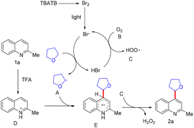 image file: d5ob01613d-s58.tif
