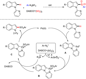 image file: d5ob01613d-s60.tif