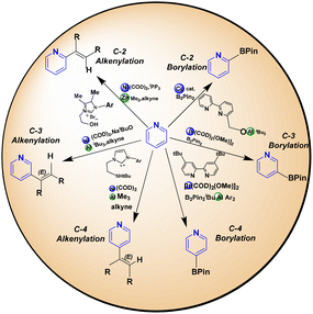 image file: d5ob01613d-s7.tif
