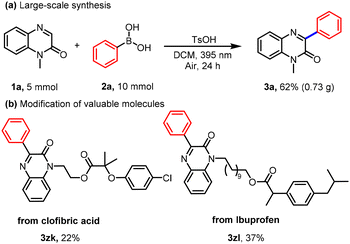 image file: d5ob01618e-s2.tif