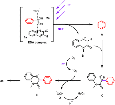 image file: d5ob01618e-s5.tif
