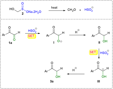 image file: d5ob01653c-s4.tif
