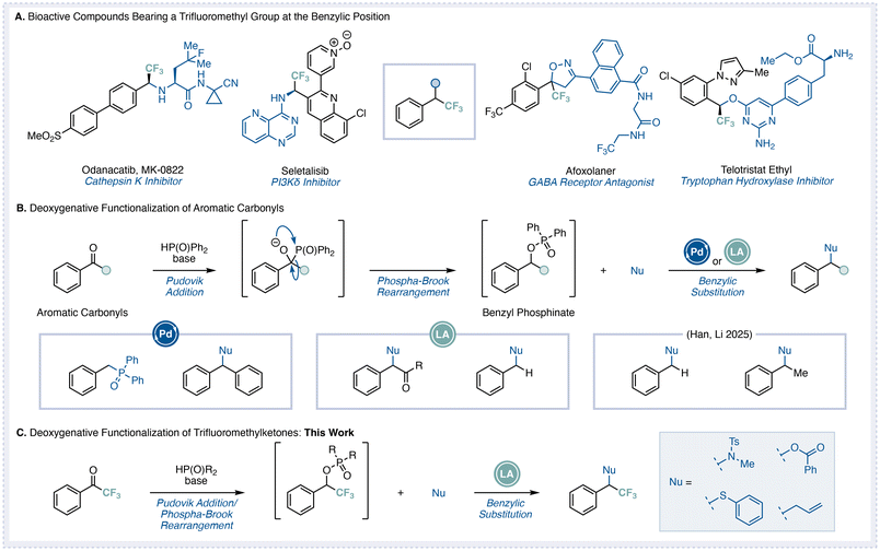 image file: d5ob01657f-f1.tif