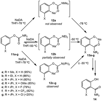 image file: d5ob01668a-s2.tif