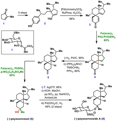 image file: d5ob01671a-s1.tif