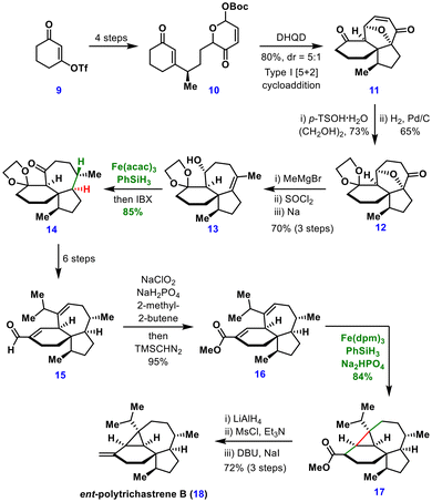 image file: d5ob01671a-s2.tif