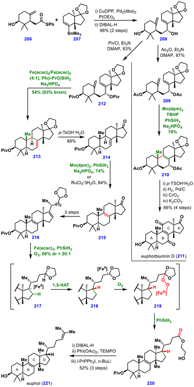 image file: d5ob01671a-s24.tif