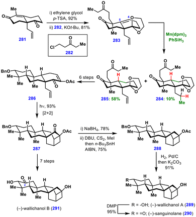 image file: d5ob01671a-s32.tif