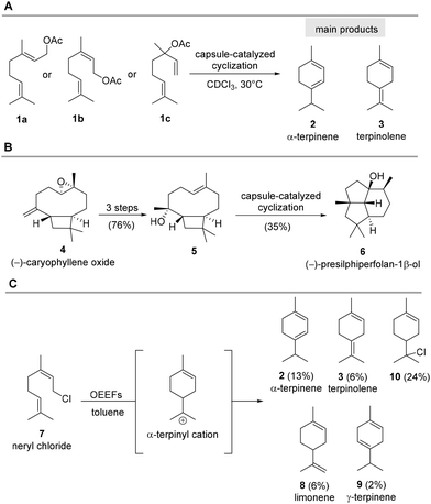 image file: d5ob01695a-s1.tif