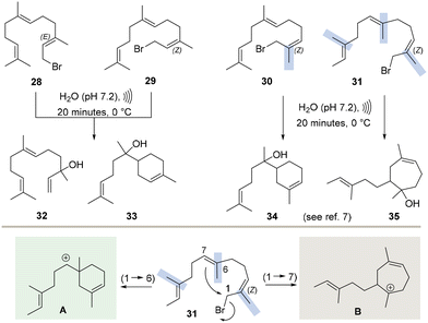 image file: d5ob01695a-s3.tif