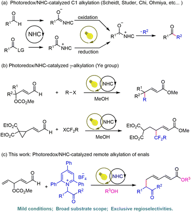 image file: d5ob01714a-s1.tif
