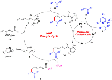 image file: d5ob01714a-s4.tif