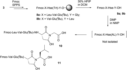 image file: d5ob01718a-s2.tif