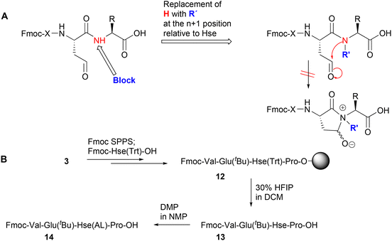 image file: d5ob01718a-s4.tif