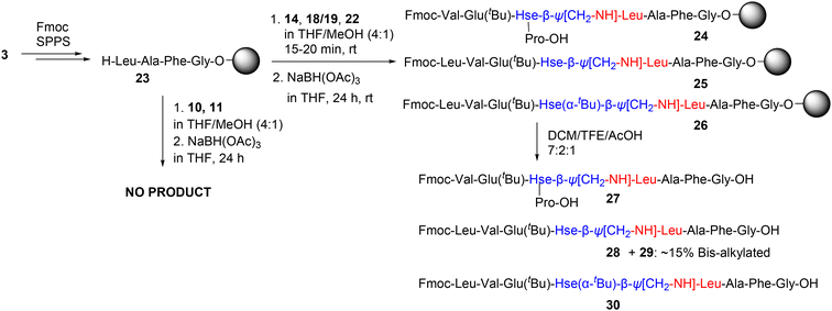 image file: d5ob01718a-s6.tif
