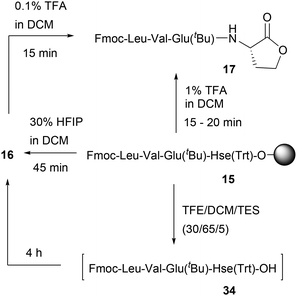 image file: d5ob01718a-s8.tif