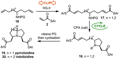 image file: d5ob01746g-s6.tif