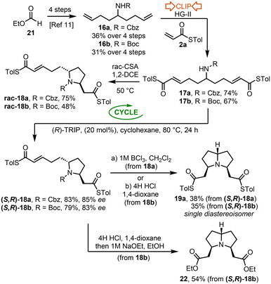 image file: d5ob01746g-s7.tif